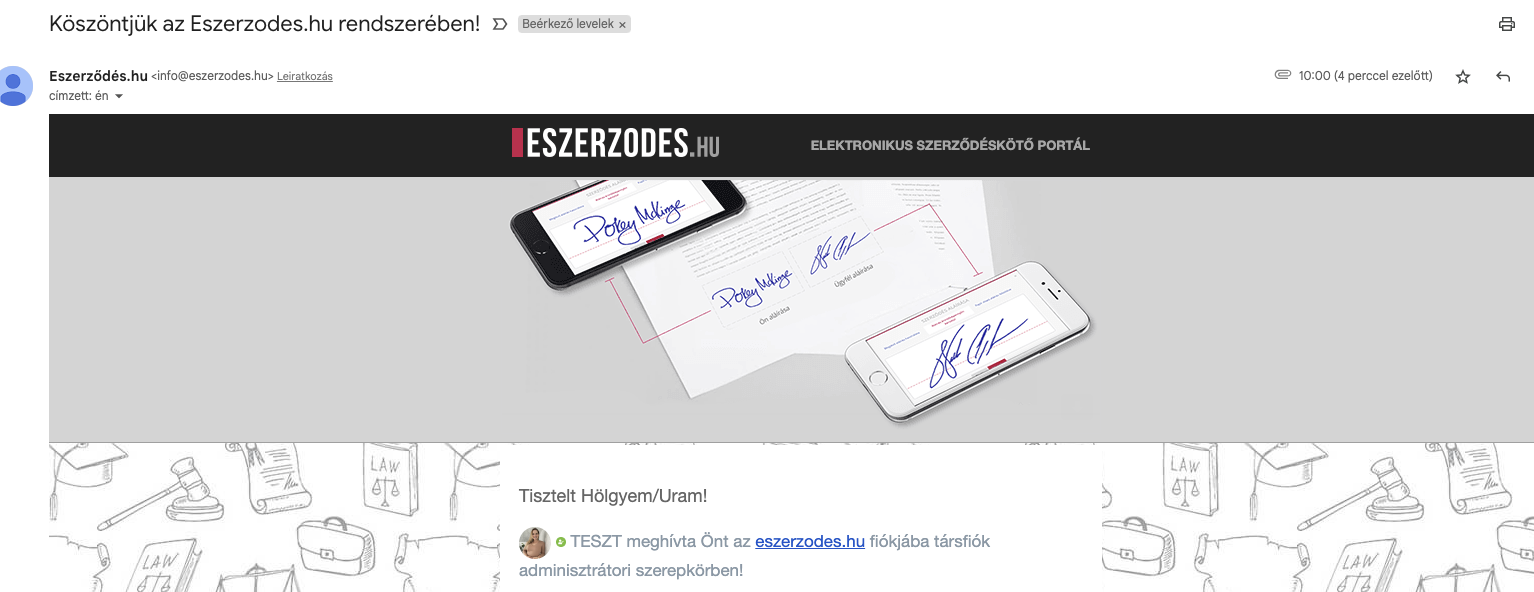 Vodja spremljevalnega računa - delitev dela